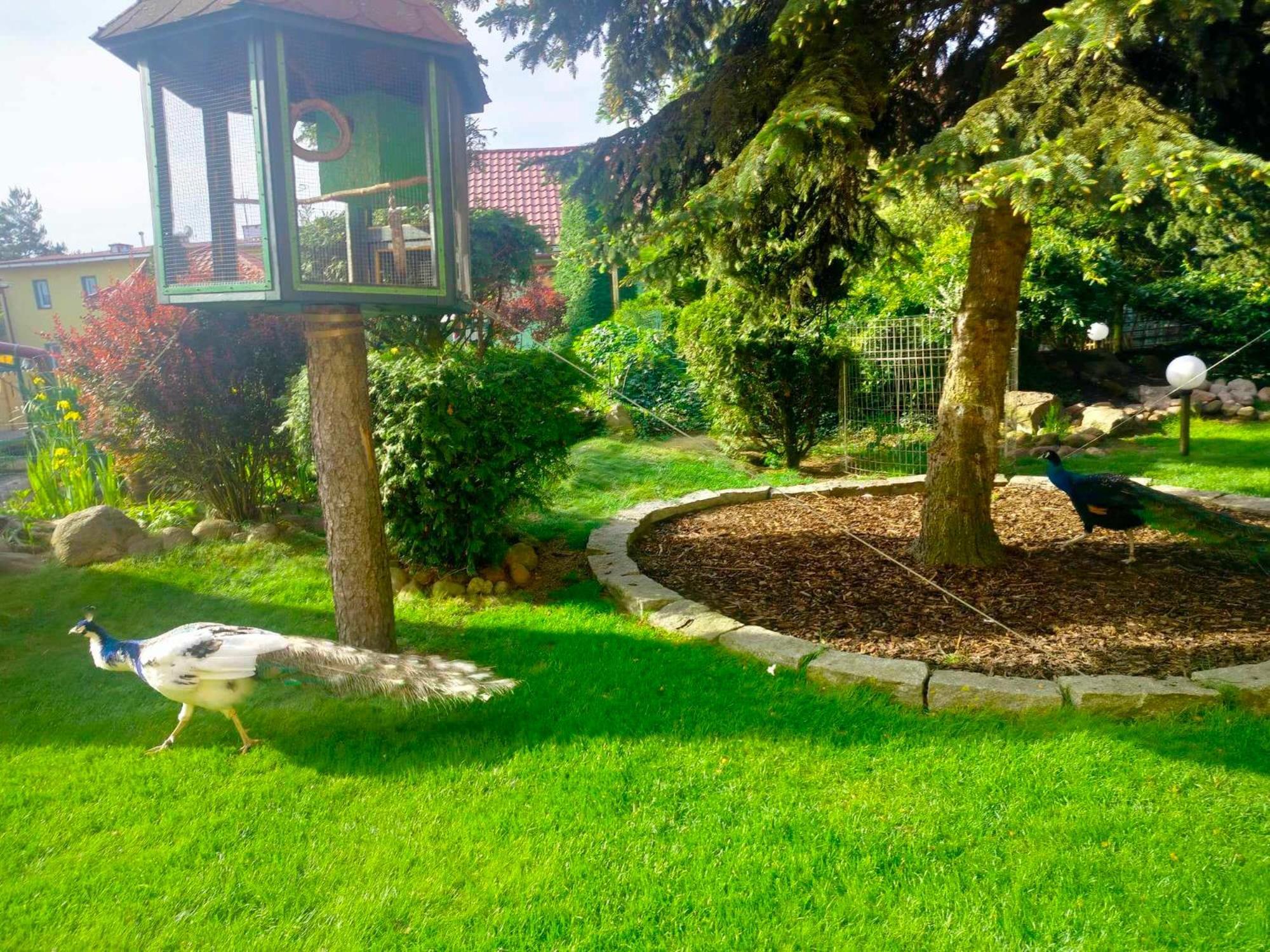 Noclegi I Restauracja Gracja Belchatow Luaran gambar